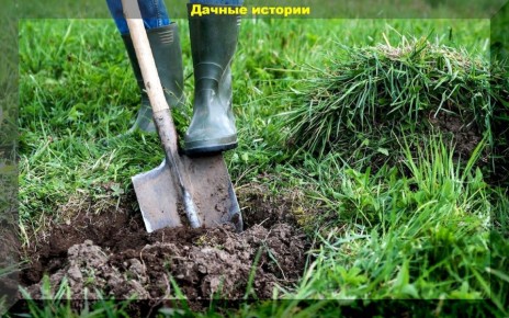 Копать или оставить в покое: осенняя перекопка огорода и её последствия