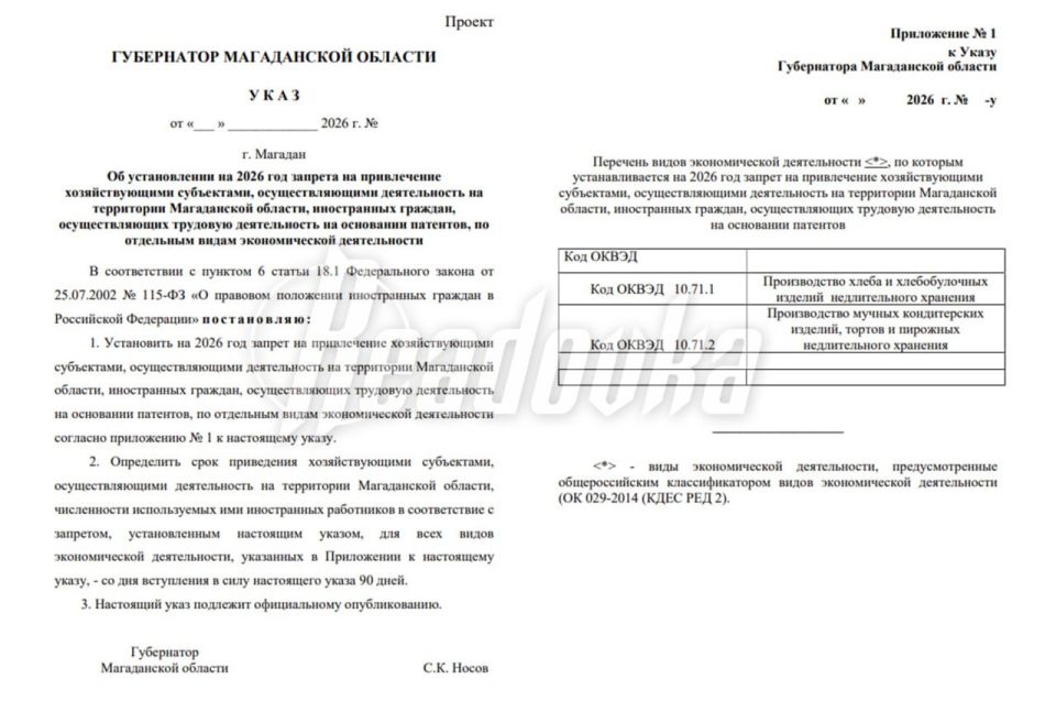 Магадан ограничит участие мигрантов в производстве хлеба и мучных кондитерских изделий