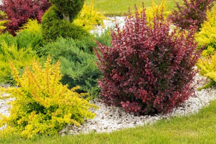 ������� ��������� ��������: ������������ �������� ������� ��� ������ ����