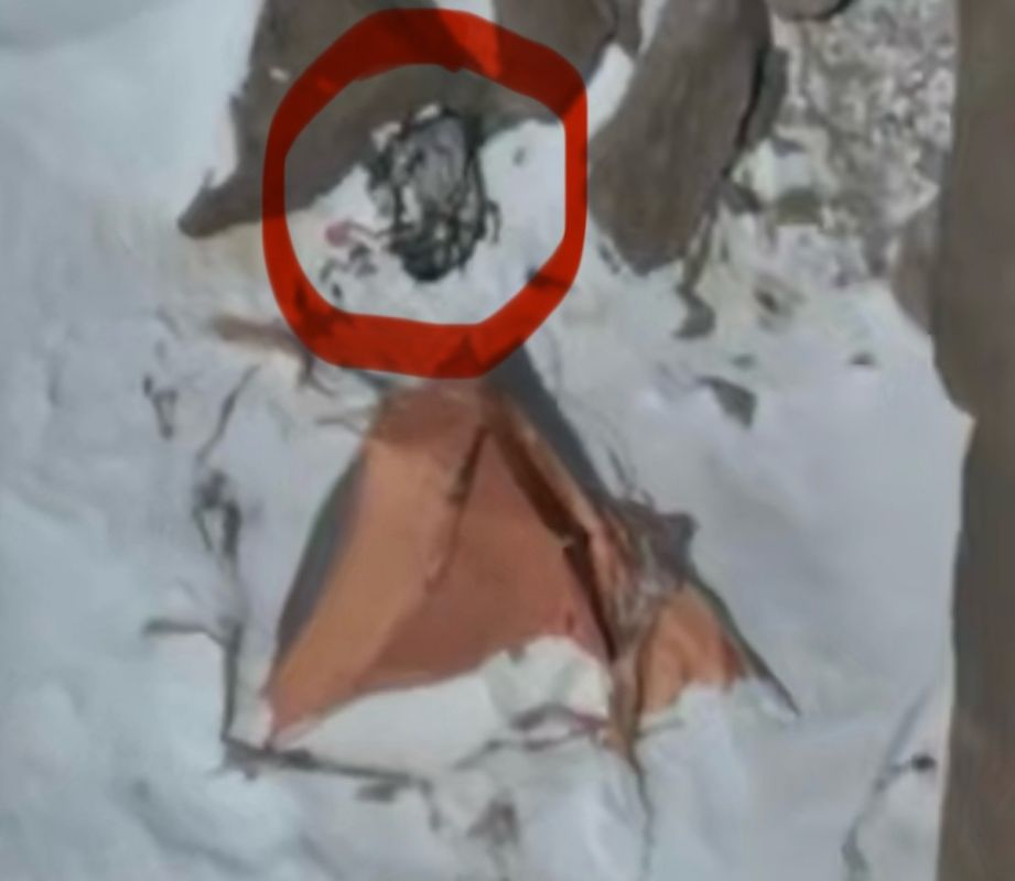 ����� �������� �����������: ���������� ����� �� ���� ������