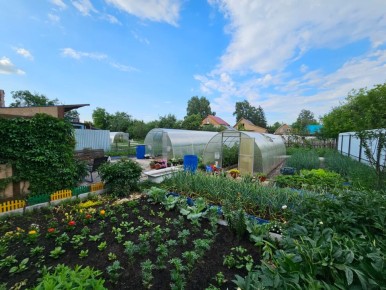 Соседство на огороде: как избежать проблем с урожаем и сохранить красоту цветников