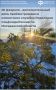 Клиентские службы Отделения Соцфонда России по Магаданской области проведут дополнительный день приёма 28 февраля