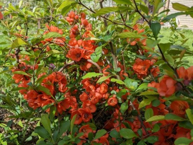 Как немного курьезов может превратить канал в источник неожиданных эмоций