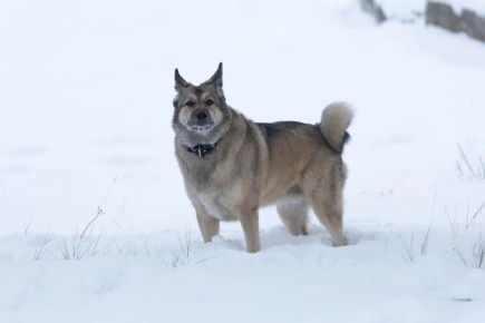 В Магадане -9