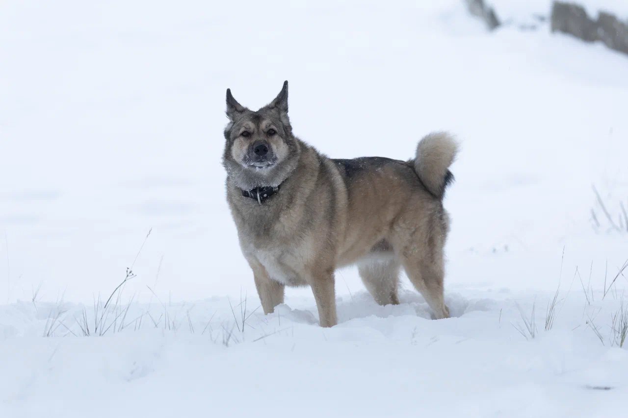 В Магадане -9