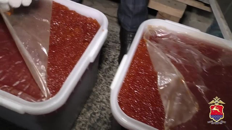 В Магадане осудят бизнесменов за незаконной оборот тонны немаркированной красной икры на 6,7 млн рублей