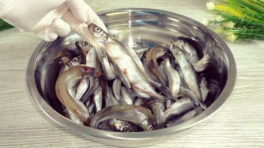 ��������� ������ ����� �����: �������� � ���� ����� �� �������