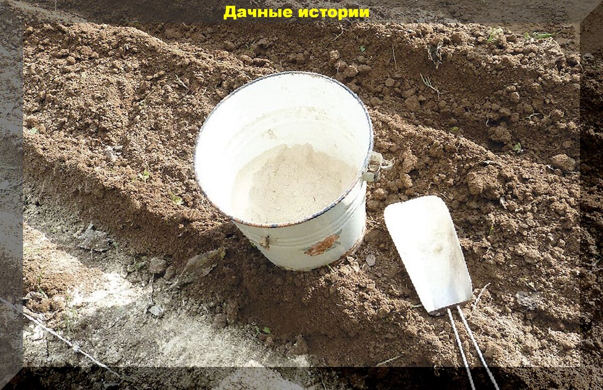 Секреты успешного известкования почвы для вашего огорода