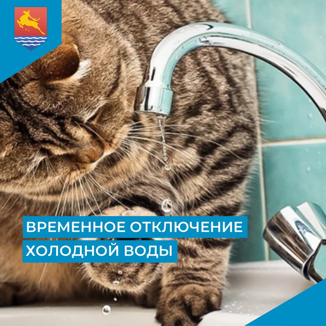 МУП «Водоканал» сообщает, что в связи с производством аварийных ремонтно-восстановительных работ 3 марта с 9:30 до 13:30 отключат холодное водоснабжение в нескольких домах в микрорайоне Пионерном