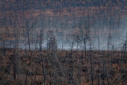 ����������� ������� ��������� � �������� � �������������� ������