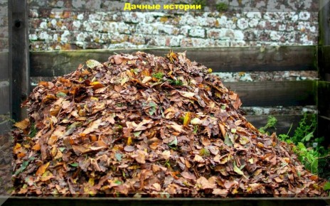 ������ � ����� ��������� ��������: ��� ��������� ������������ ������� ������ � ����