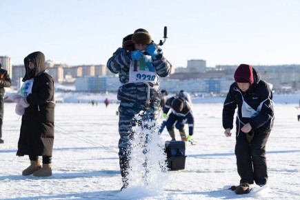 VI ��������� ������������� ����������� ������ ������ ������� 14 �����