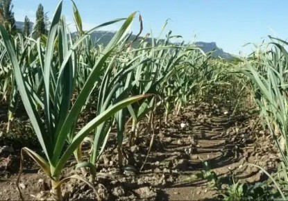 �������� � ������ ��������: ��� ������, ���� �� �� ������ � �������