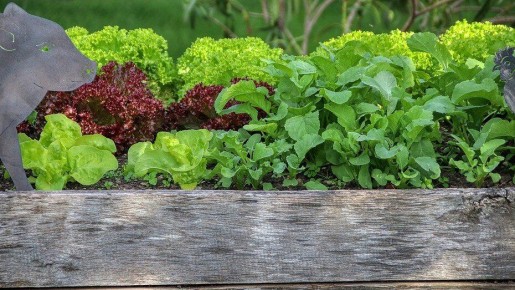 ��� ������� ��������� ������ ��� ��������: ������ ����� ���������� ������� � �� ������������