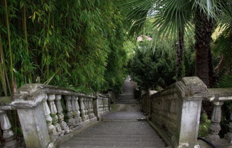 ����������� ����������� ����� �� ������������ ���������