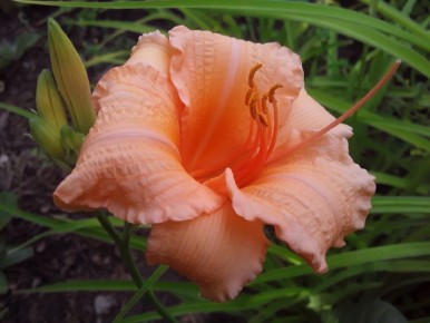 ����� ������� �������� ����������: ������� ��������� ������ ������