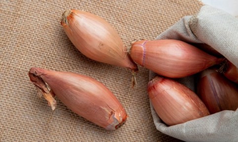 ������� ������������� �������� ���� � ��������� ��������