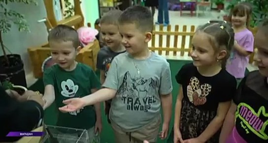 ���� ������������ � �������� �������: ����� ������ ������� �� ������� �������