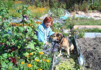 ��������� ������� ������ � ������ �������������������� �������������