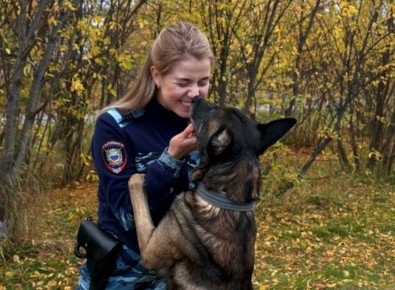 ������� ��������� ������ �������� ������ � ������ ��������� ��������