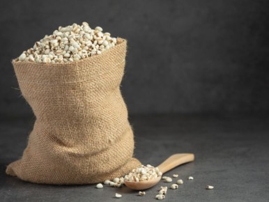 Перлит: уникальный помощник для садоводов и комнатных растений