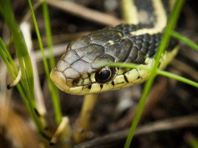 ��� �������� ���� ������� �� ����: ������ � ����������� ������