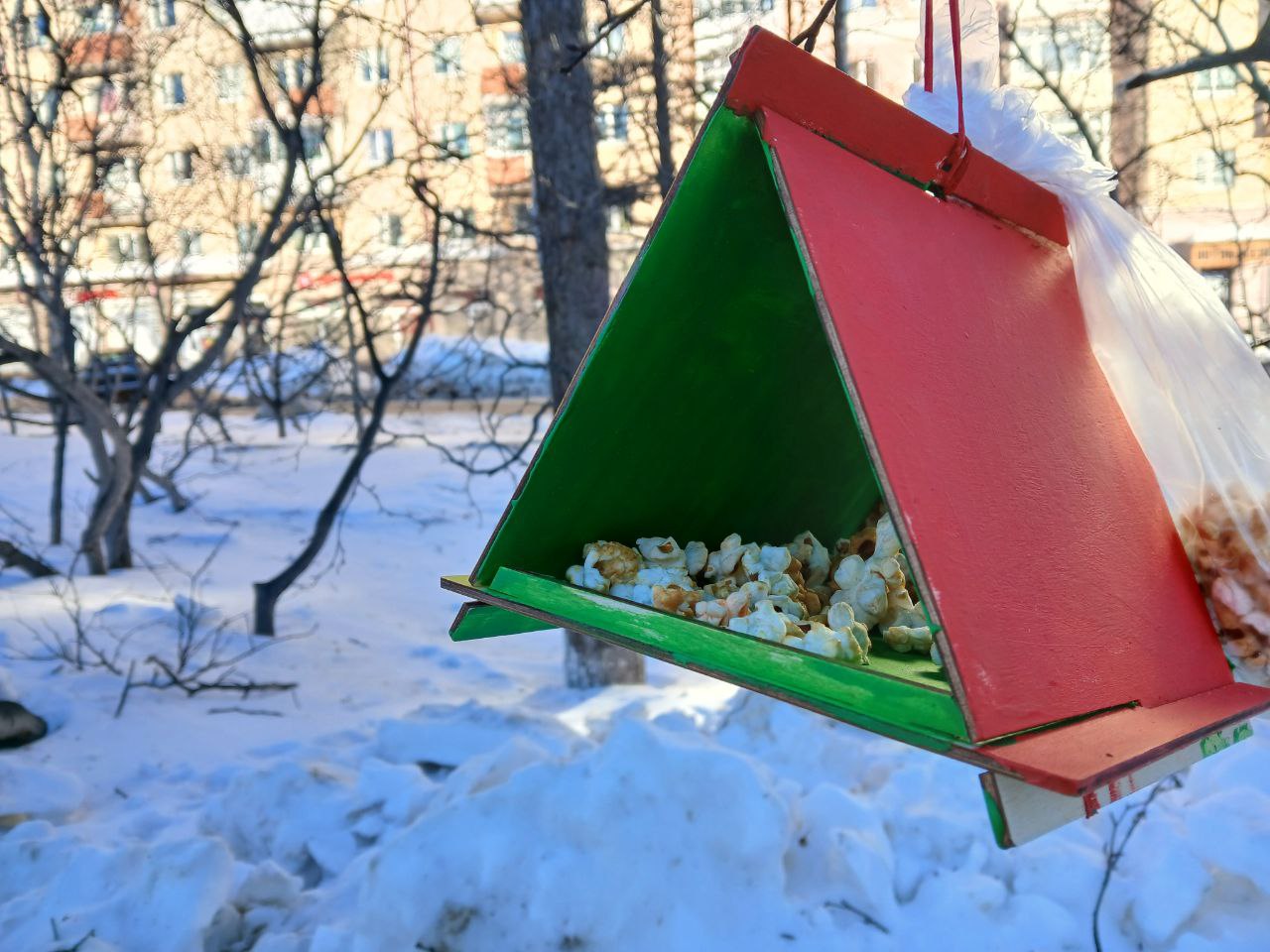 В Магадане -9