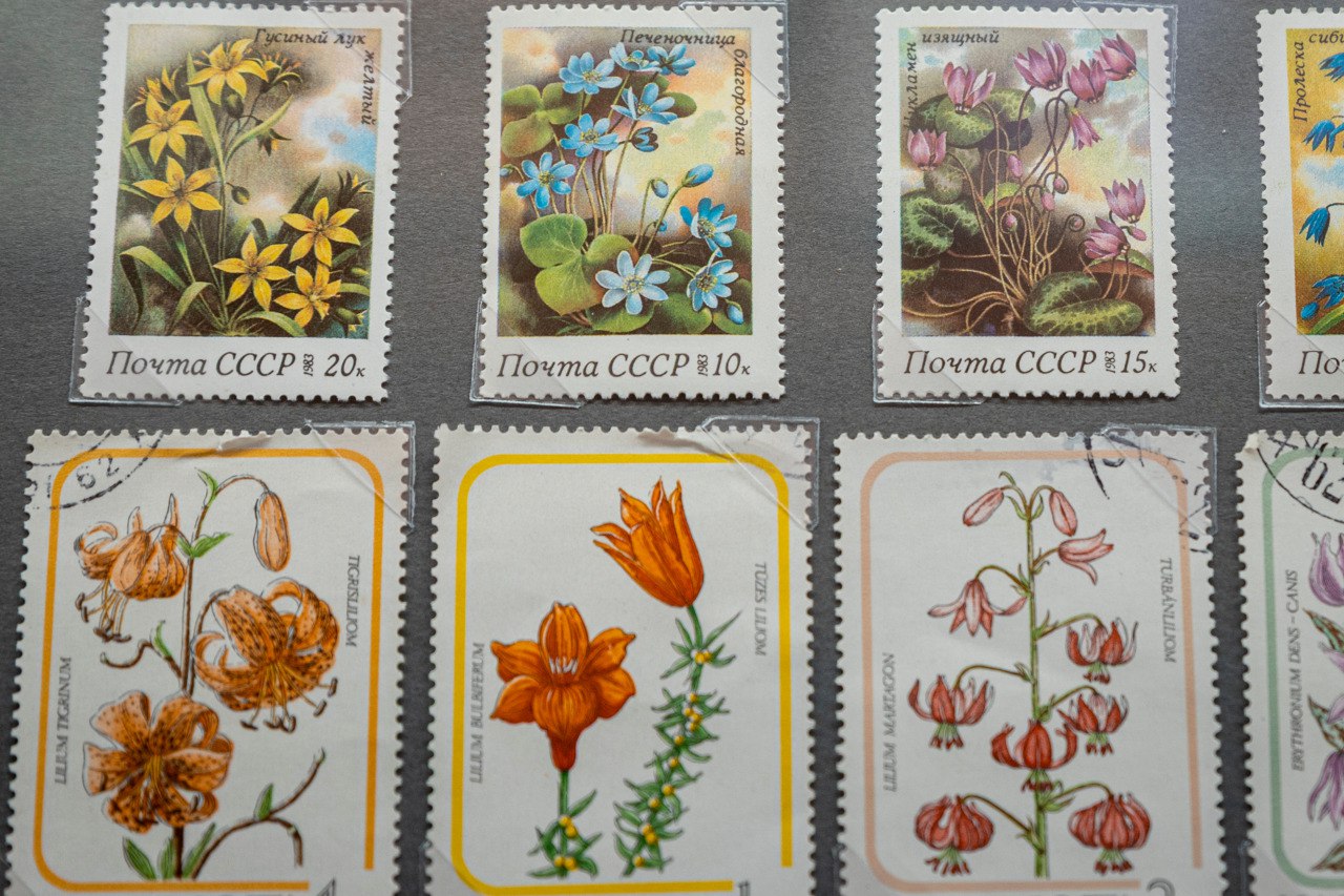 Напоминаем: у нашего музея работает Выставочный зал по адресу: ул. Пролетарская, 26Б. Здесь также экспонируются несколько интересных выставок Напоминаем: у нашего музея работает Выставочный зал по адресу: ул. Пролетарская, 26Б. Здесь также экспонируются несколько интересных выставок