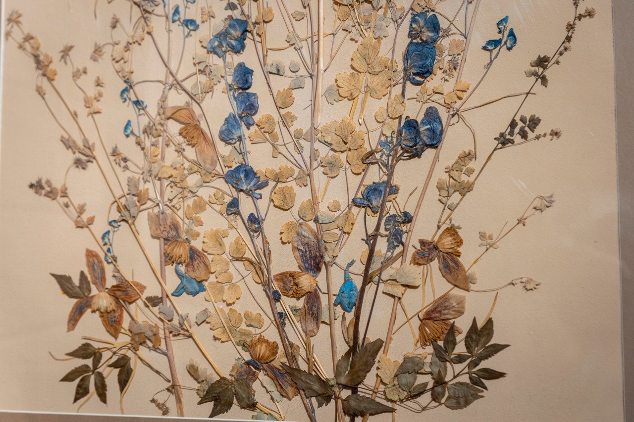 Напоминаем: у нашего музея работает Выставочный зал по адресу: ул. Пролетарская, 26Б. Здесь также экспонируются несколько интересных выставок Напоминаем: у нашего музея работает Выставочный зал по адресу: ул. Пролетарская, 26Б. Здесь также экспонируются несколько интересных выставок