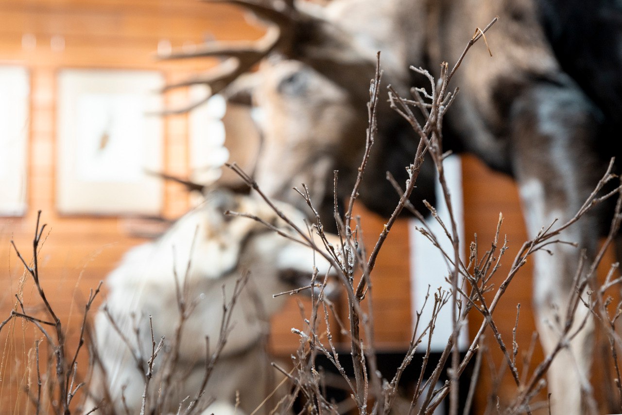 Напоминаем: у нашего музея работает Выставочный зал по адресу: ул. Пролетарская, 26Б. Здесь также экспонируются несколько интересных выставок Напоминаем: у нашего музея работает Выставочный зал по адресу: ул. Пролетарская, 26Б. Здесь также экспонируются несколько интересных выставок