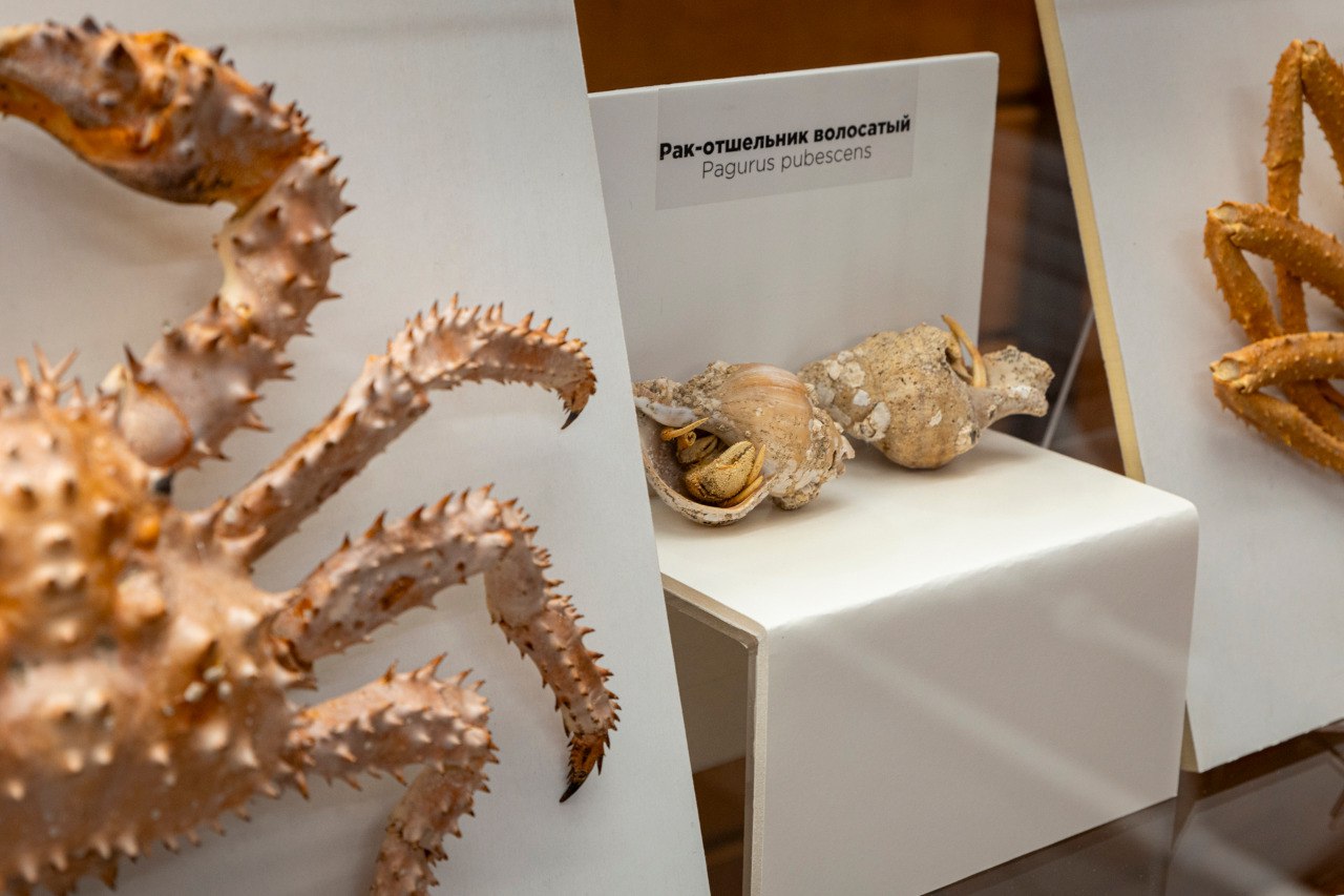 Напоминаем: у нашего музея работает Выставочный зал по адресу: ул. Пролетарская, 26Б. Здесь также экспонируются несколько интересных выставок Напоминаем: у нашего музея работает Выставочный зал по адресу: ул. Пролетарская, 26Б. Здесь также экспонируются несколько интересных выставок