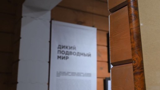 Напоминаем: у нашего музея работает Выставочный зал по адресу: ул. Пролетарская, 26Б. Здесь также экспонируются несколько интересных выставок