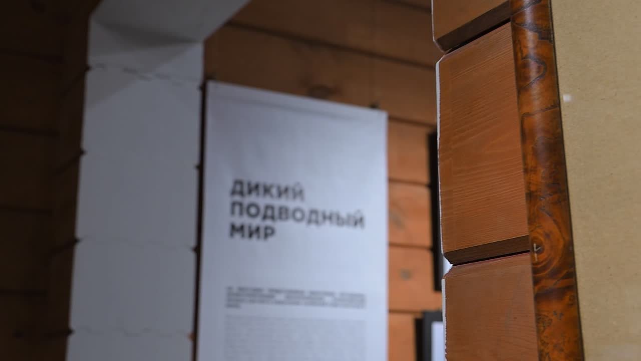 Напоминаем: у нашего музея работает Выставочный зал по адресу: ул. Пролетарская, 26Б. Здесь также экспонируются несколько интересных выставок