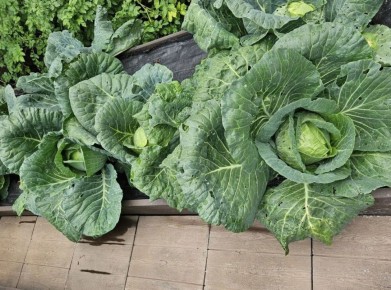 ������� �������� ������� ��������� ��������� ������� �� ������