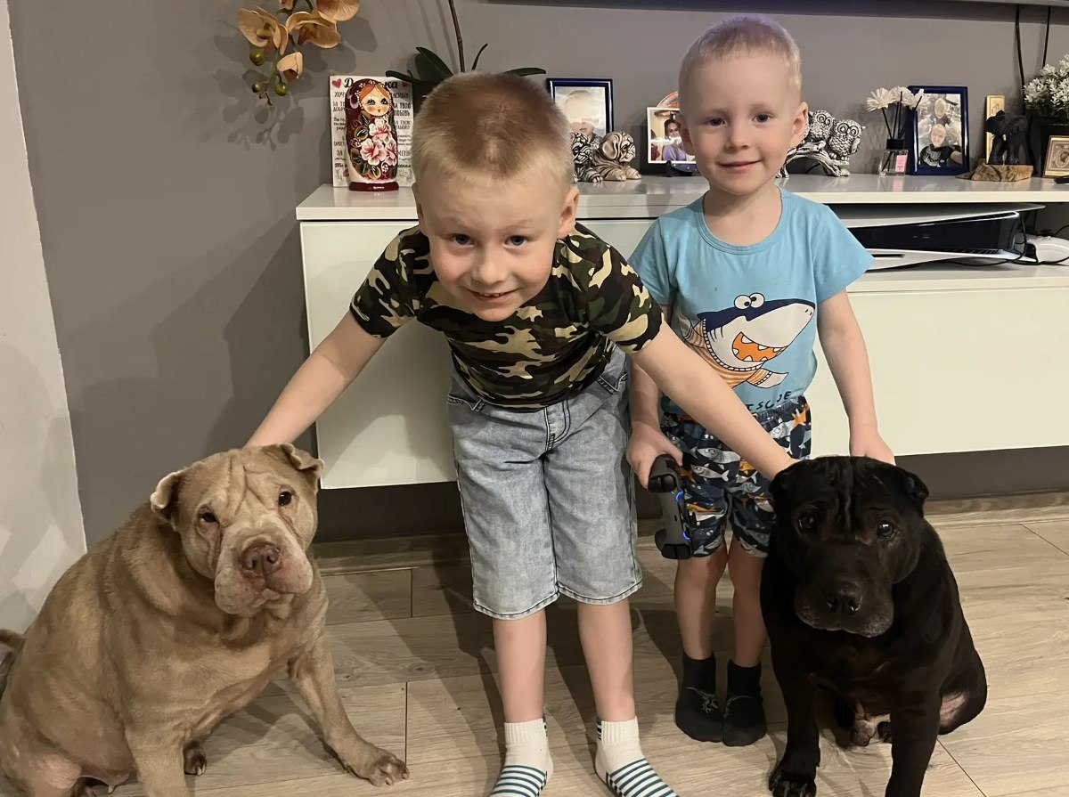 Пара шарпеев завоевала сердца магаданцев Пара шарпеев завоевала сердца магаданцев