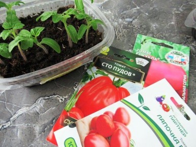 ��� ��������� ����������� ������ �������: ���� ������� �������