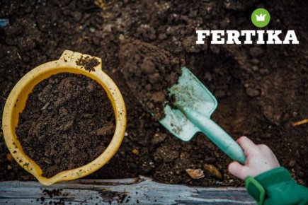 Как правильно подготовить почву и посадить семена петунии