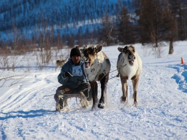 ��������� ��������� �� ��������� ��������� ������������ ����� ������