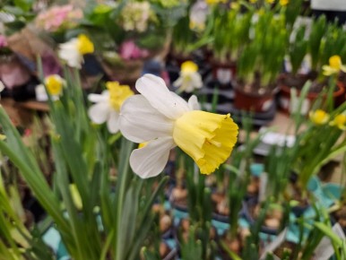 ����� ������ � ��������� �������: ��������� �������� ������� � 8 �����