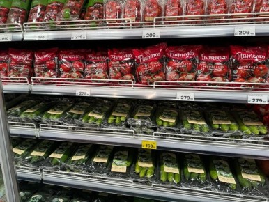 ������ ������� ���� ������� ������� ������ ���������� ������