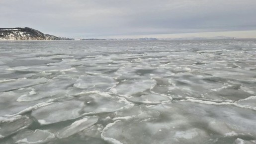 �� �������, 24 �����, � ����������� ������� ������