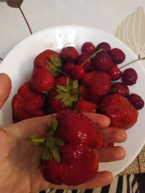 ����� �� ����: ������� ��������� ����� �� ��������� ��� ���������� ������