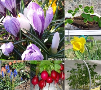 ���������� ��������� ��� ��������: ������� �������� ������� � ����� �� ����������