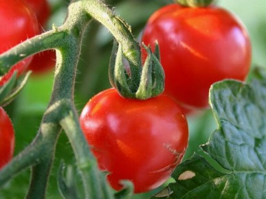 ��� �������� ������� ������ ��������� � ������� ������� ������