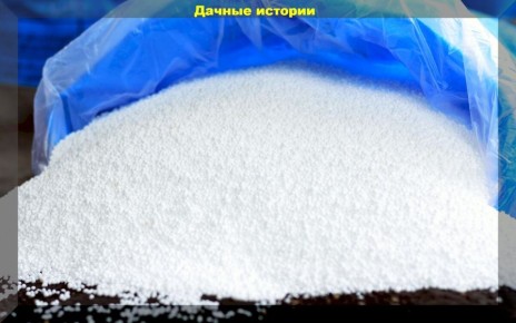 ������� ���������: ��� �������, ����� ������������, � � ��� ����� � ������