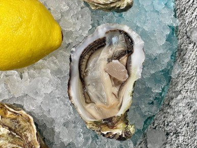 ����� ������: ��� ����� ����� � �������� � ��������