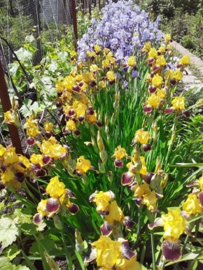 ������� ����: �������, ������� �������� ���� � �����