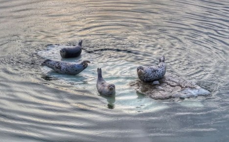 В понедельник, 30 марта, в Магаданской области преимущественно облачно