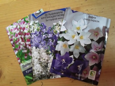 Сложности выращивания многолетников: опыт домашнего цветовода