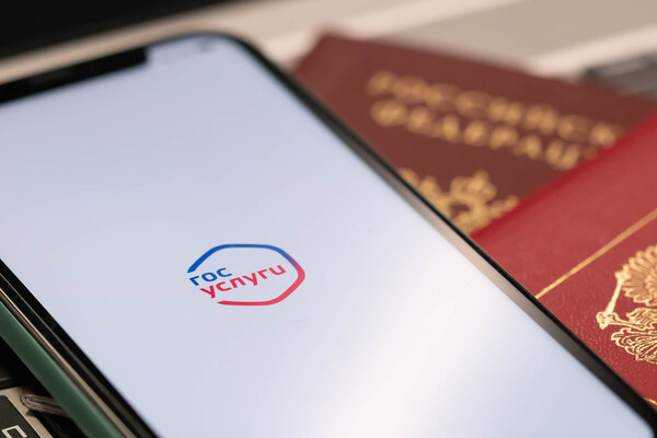 Ужесточение наказания за сайтошаринг: новую инициативу предлагает Госдума